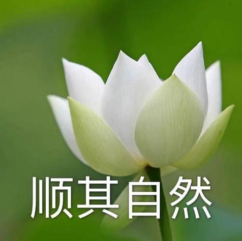 五十岁左右应该用什么微信头像?(适合五十岁微信头像)